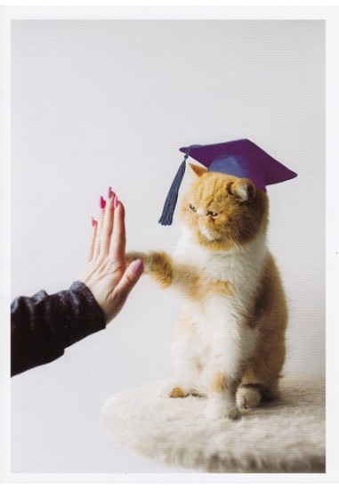 GRAD3618